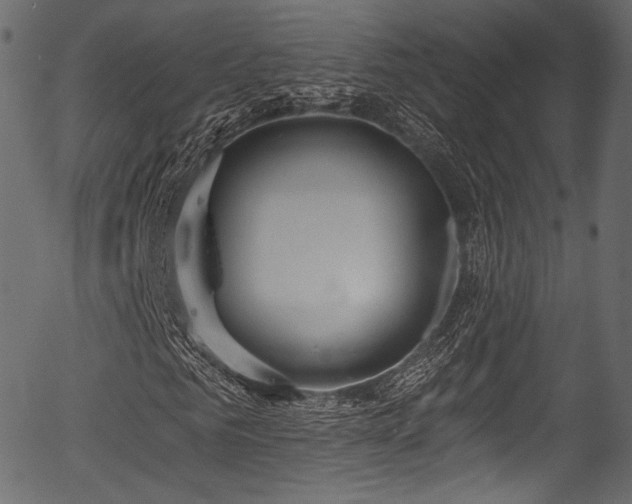 X0000056350961200508291318