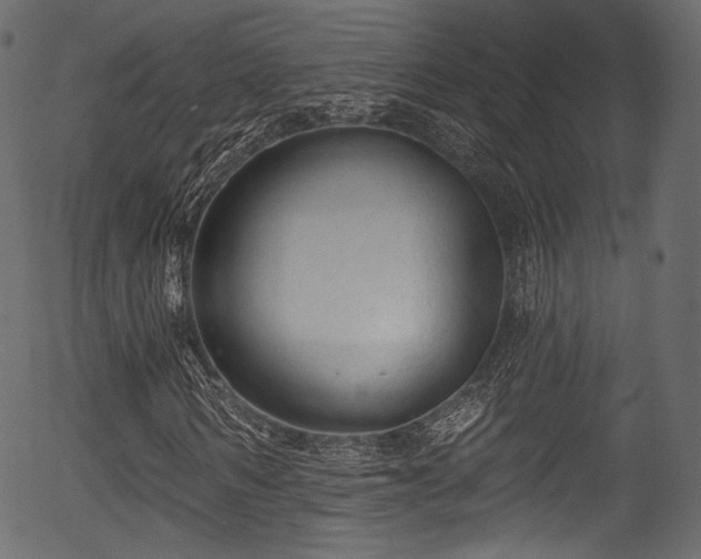 X0000056350962200508291318