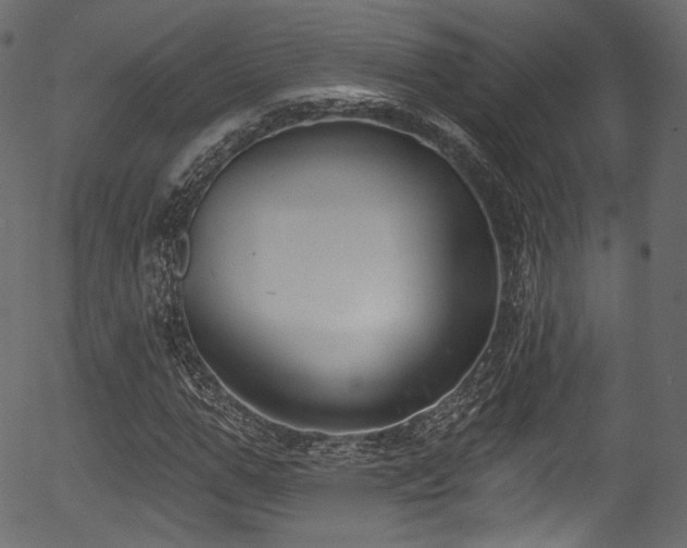 X0000056350967200508291318
