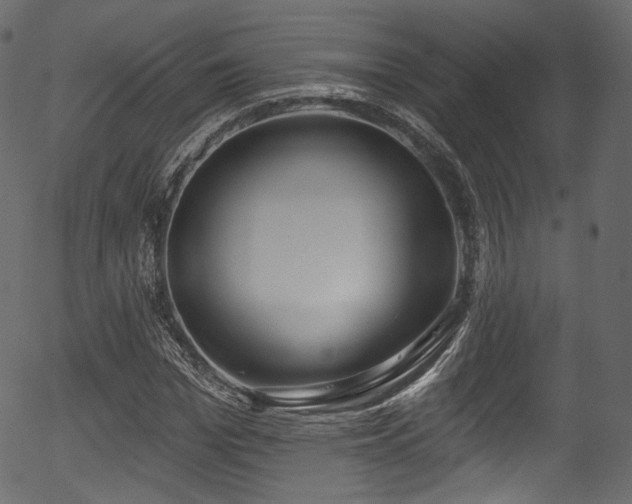 X0000056350969200508291318