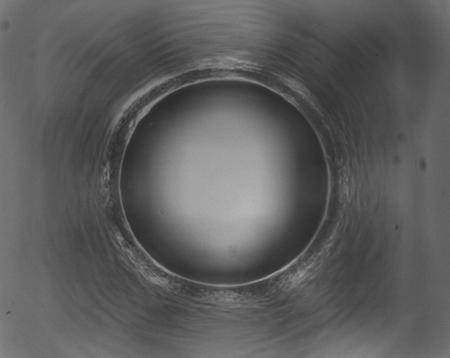 X0000056350971200508291318