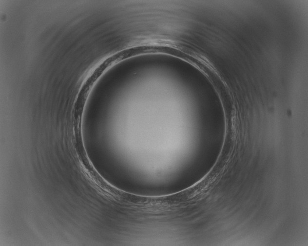X0000056350972200508291318