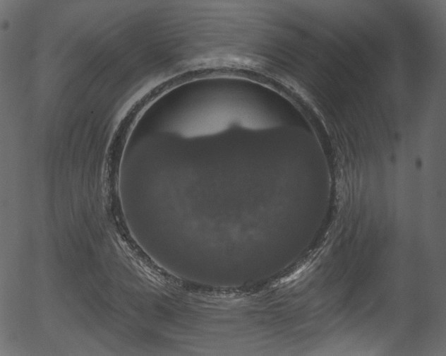 X0000056350975200508291317