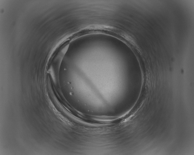 X0000056350976200508291317