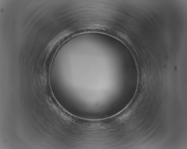 X0000056350979200508291317