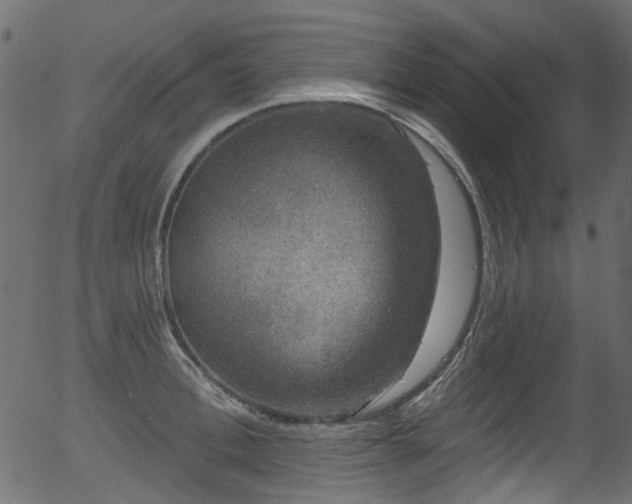 X0000056350996200508291317
