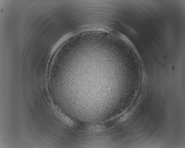 X0000056351002200508291317