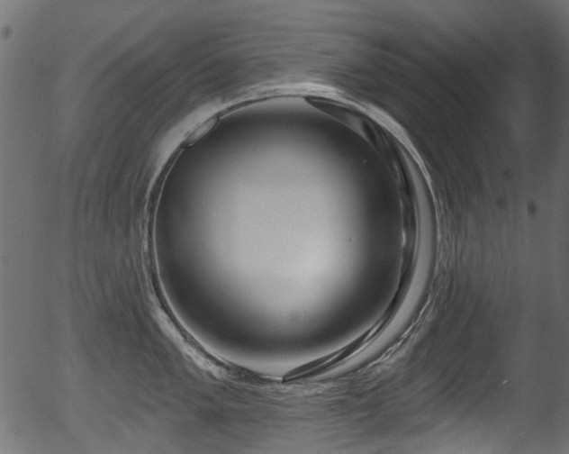 X0000056351005200508291317