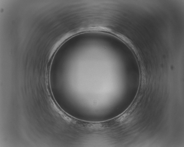 X0000056351006200508291317