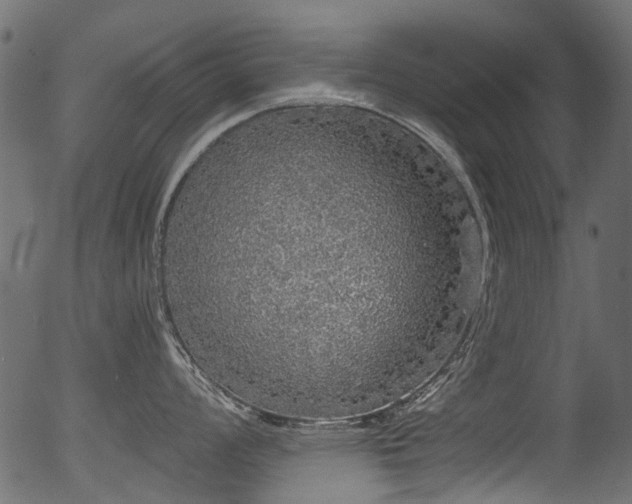 X0000056351008200508291317