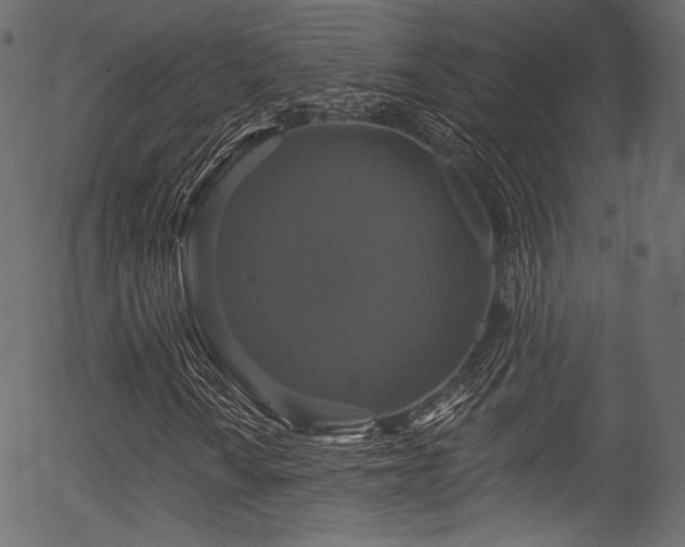 X0000056351010200508291316