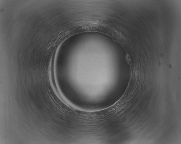 X0000056351012200508291316