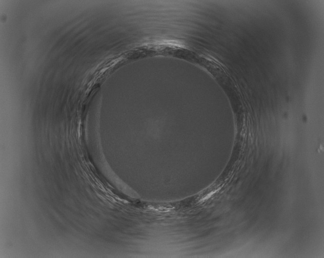 X0000056351014200508291316