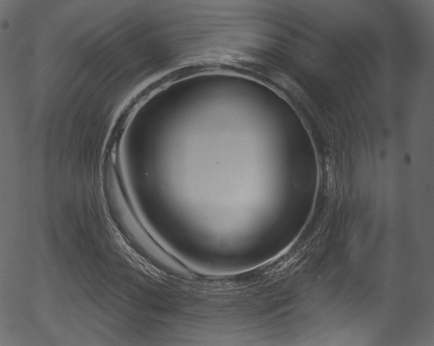 X0000056351020200508291316