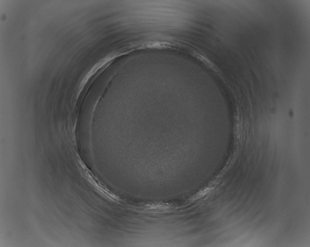 X0000056351026200508291316