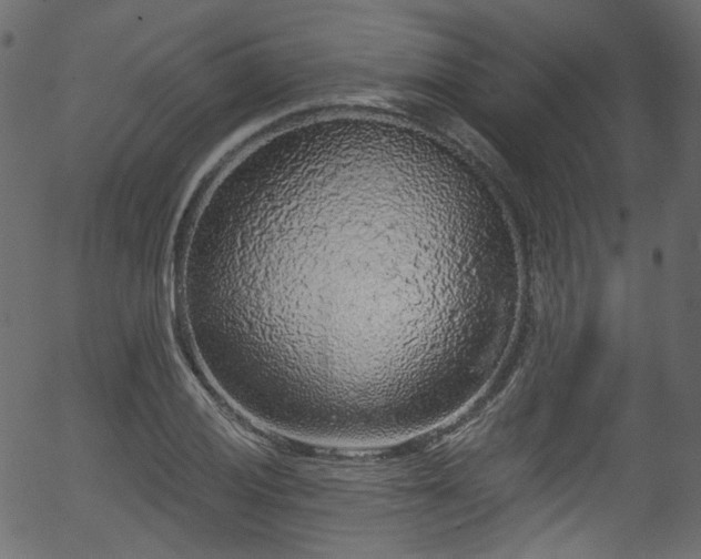 X0000056351028200508291316