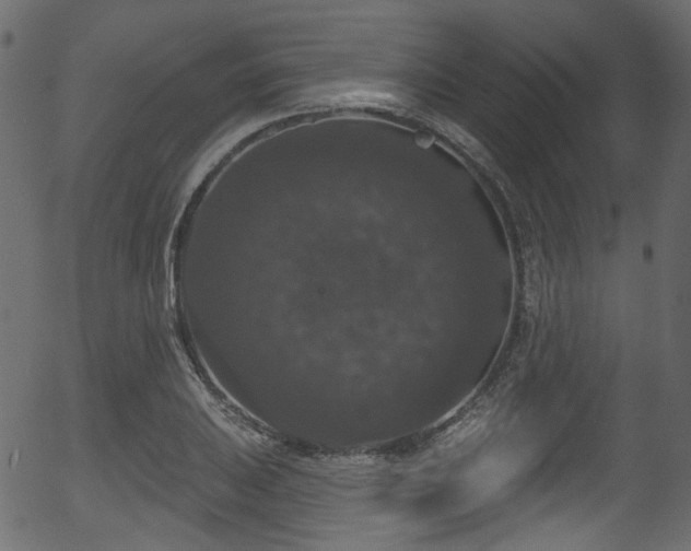 X0000056351031200508291317