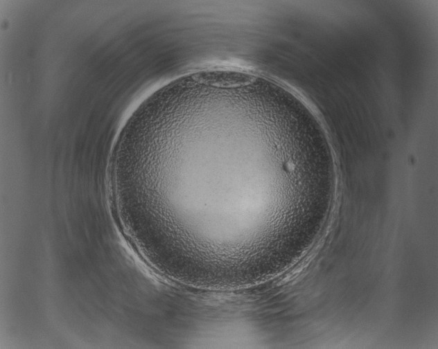 X0000056351056200508291317