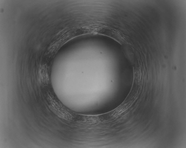 X0000056351058200508291316