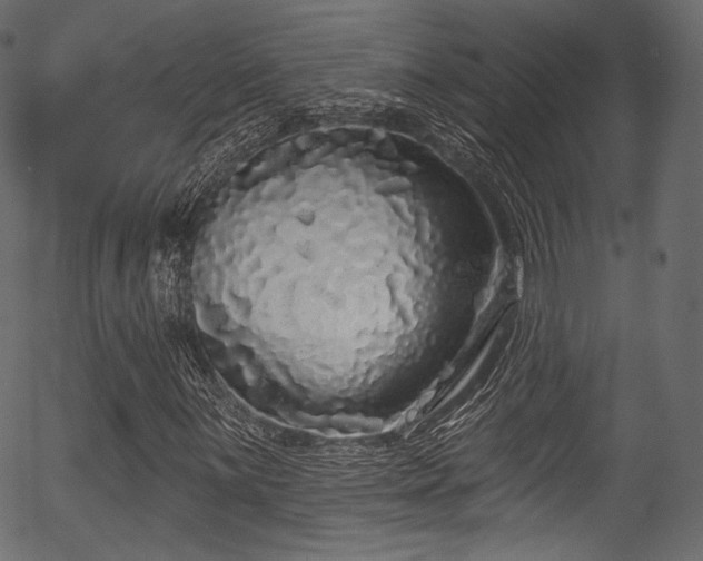 X0000056351059200508291316