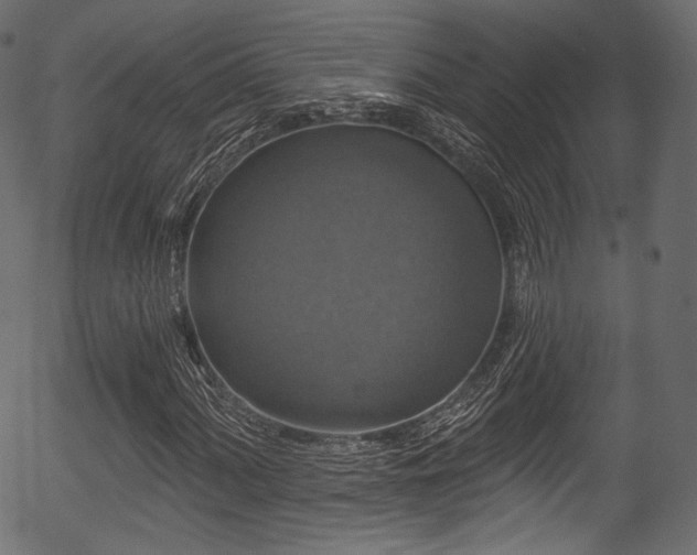 X0000056351060200508291316
