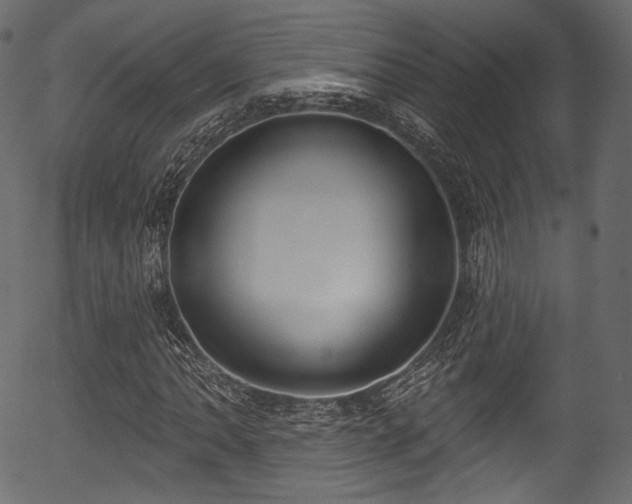 X0000056351062200508291316
