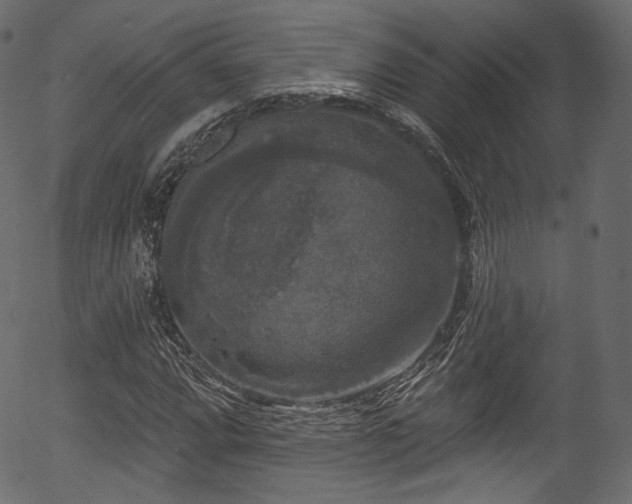 X0000056351064200508291316