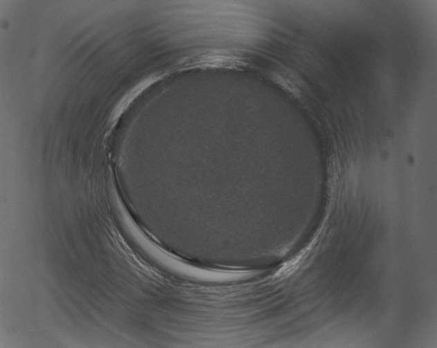 X0000056351066200508291316