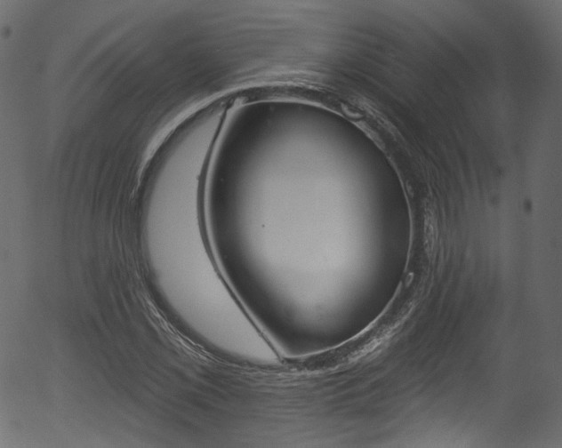 X0000056351069200508291316