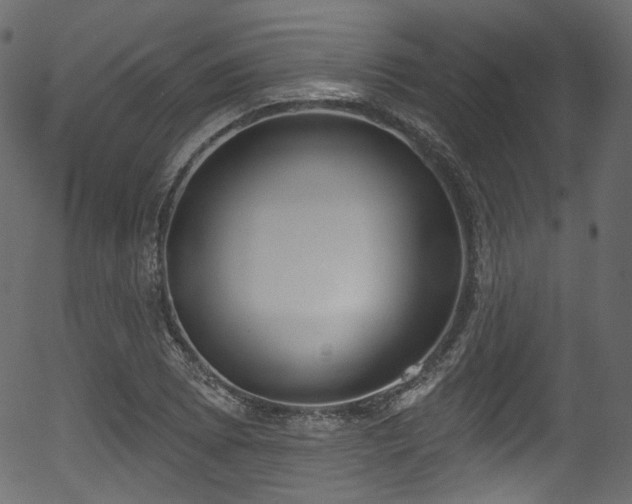 X0000056351073200508291316