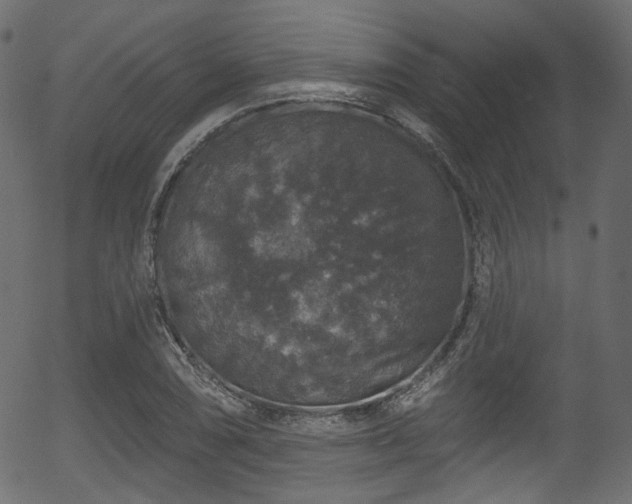 X0000056351074200508291316