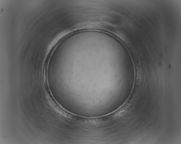 X0000056351078200508291316
