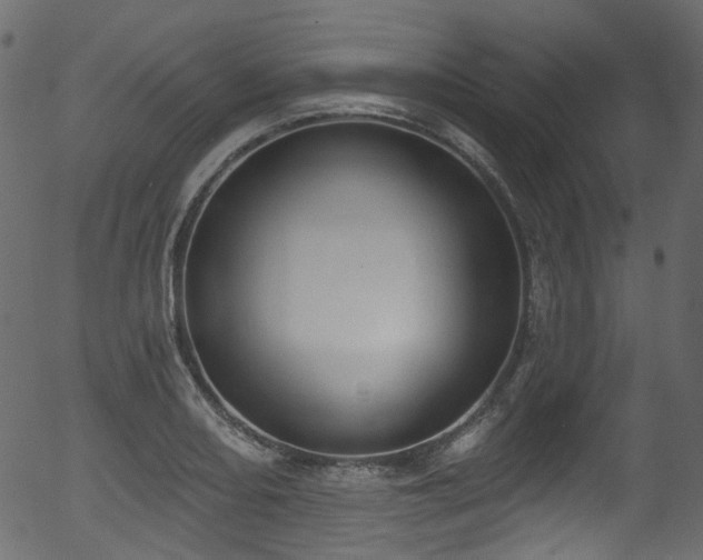 X0000056351082200508291316