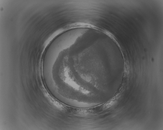 X0000056351098200508291315