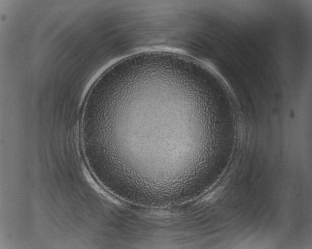 X0000056351100200508291315