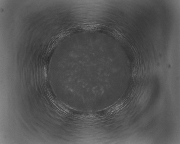 X0000056351106200508291315