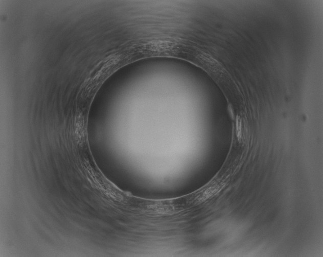 X0000056351107200508291315