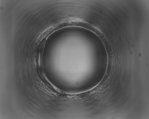 X0000056351112200508291315
