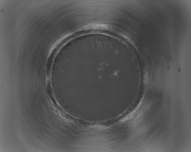 X0000056351117200508291315