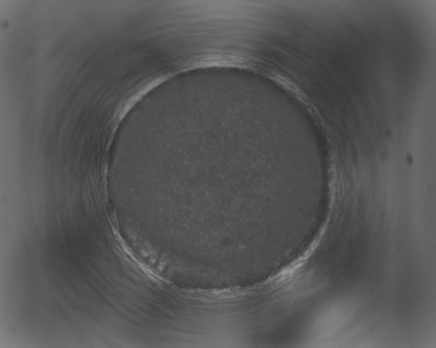 X0000056351121200508291315