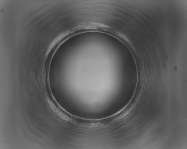 X0000056351122200508291315