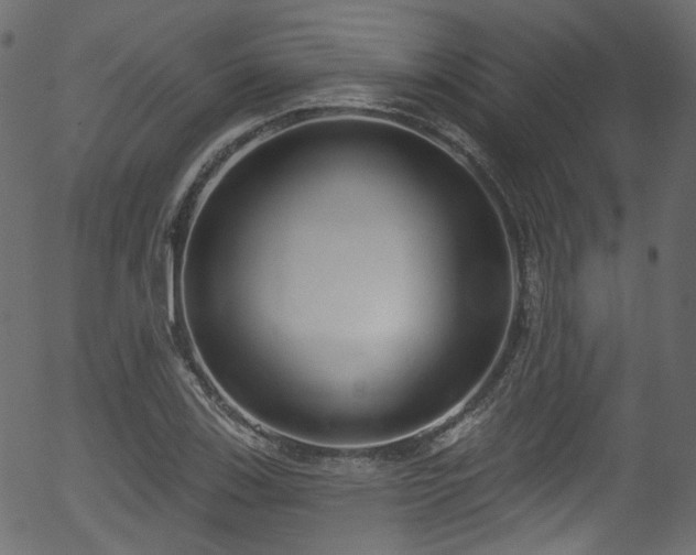 X0000056351123200508291315
