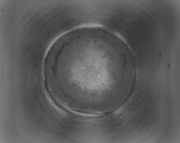 X0000056351124200508291315