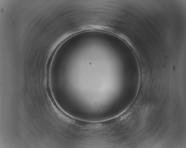 X0000056351143200508291315