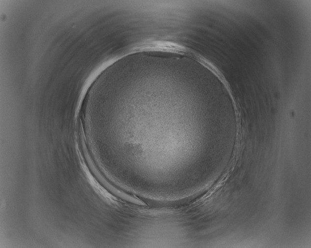 X0000056351152200508291315