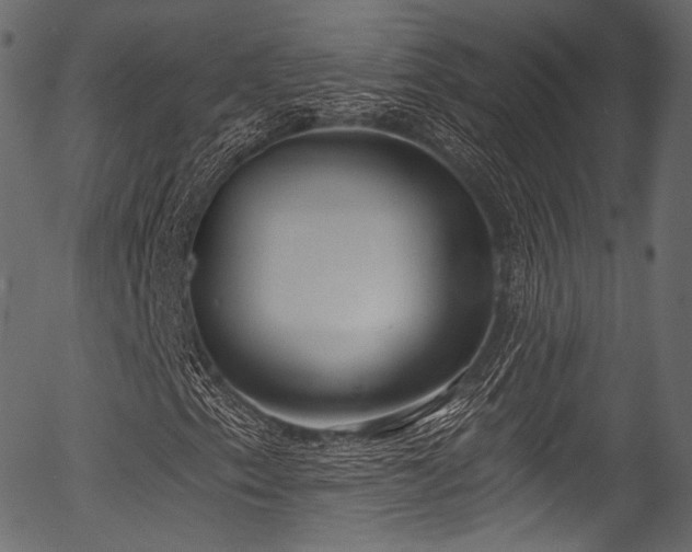X0000056351153200508291314