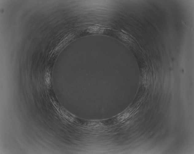 X0000056351154200508291314