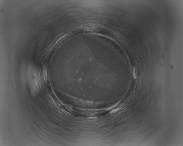 X0000056351155200508291314