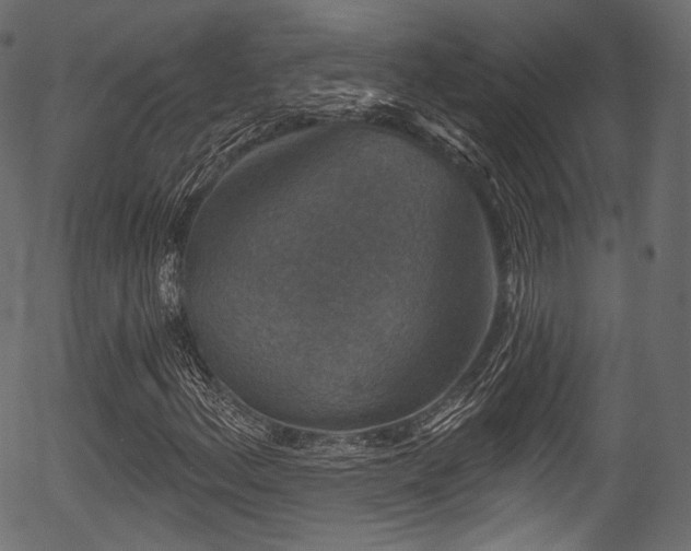 X0000056351156200508291314