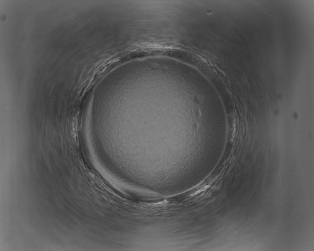 X0000056351157200508291314